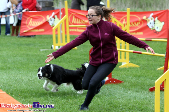 Zawody Agility Podlasie 2014