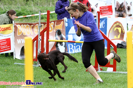 Zawody Agility Podlasie 2014