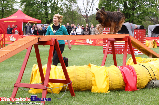 Zawody Agility Podlasie 2014