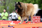 Zawody Agility Podlasie 2014