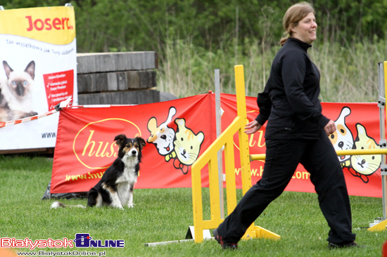 Zawody Agility Podlasie 2014