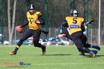 Primacol Lowlanders Białystok - Panthers Wrocław