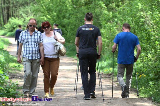 Szkolenia oraz zajęcia z kijkami Nordic Walking