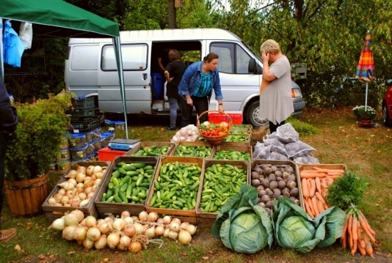 Dzień Ogórka w Kruszewie