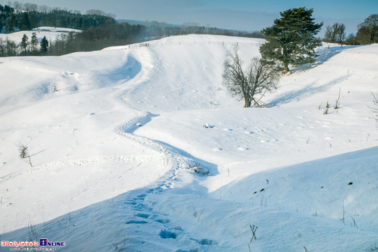 Suwalski Park Krajobrazowy zimą