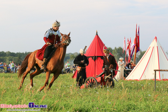 Rekonstrukcja wiktorii wiedeńskiej