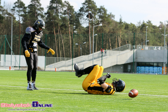 Lowlanders Białystok - Seahawks Gdynia