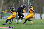 Lowlanders Białystok - Seahawks Gdynia