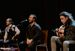 Koncert Flamenco: Noelia Vicente Vargas y su compañía