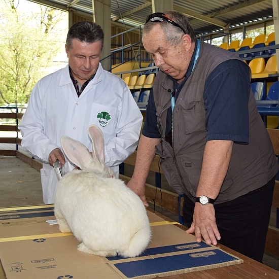 Wiosenne Targi Ogrodnicze i Targi Pszczelarskie 