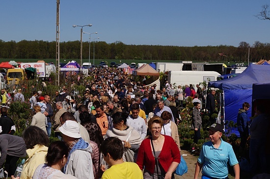 Wiosenne Targi Ogrodnicze i Targi Pszczelarskie