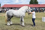 Wystawa Bydła Hodowlanego w Szepietowie