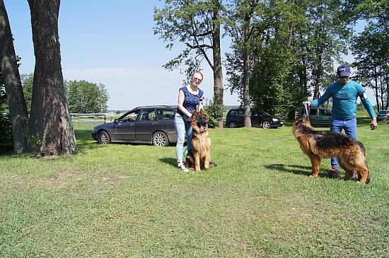 I Krajowa Wystawa Psów Rasowych Polskiej Federacji Kynologicznej