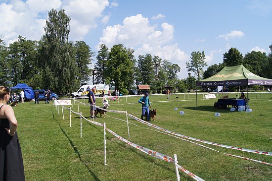 I Krajowa Wystawa Psów Rasowych Polskiej Federacji Kynologicznej