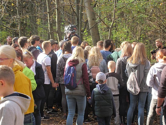 Miejskie Sprzątanie Lasu Zwierzynieckiego