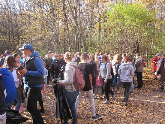 Miejskie Sprzątanie Lasu Zwierzynieckiego