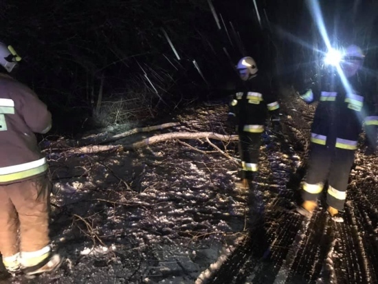 Powalone drzewo na trasie Białystok - Knyszyn