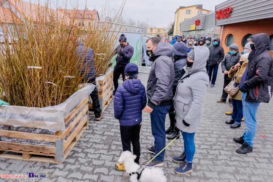 Białystok się zieleni. Rozdawanie drzew