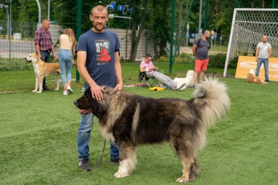 XIV Międzynarodowa Wystawa Psów Rasowych 