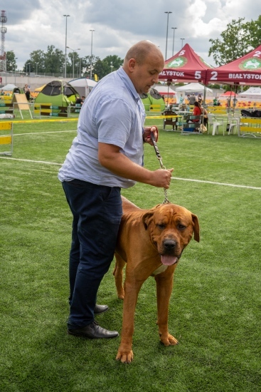 XIV Międzynarodowa Wystawa Psów Rasowych 