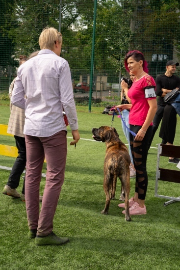 XIV Międzynarodowa Wystawa Psów Rasowych 