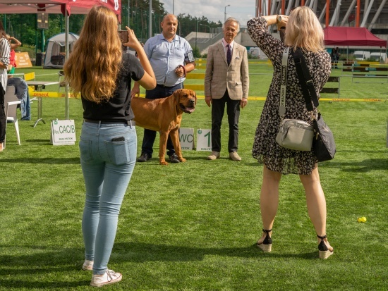 XIV Międzynarodowa Wystawa Psów Rasowych 