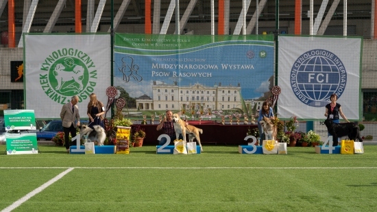 XIV Międzynarodowa Wystawa Psów Rasowych 