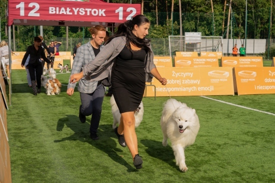 XIV Międzynarodowa Wystawa Psów Rasowych 