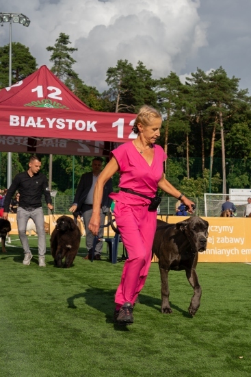 XIV Międzynarodowa Wystawa Psów Rasowych 