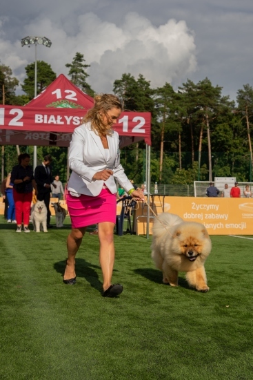 XIV Międzynarodowa Wystawa Psów Rasowych 