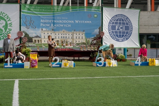 XIV Międzynarodowa Wystawa Psów Rasowych 