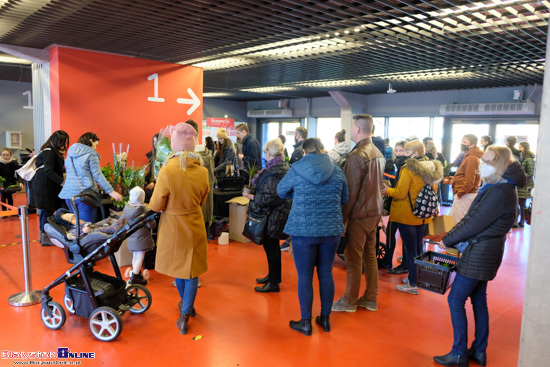 Festiwal Roślin na stadionie miejskim