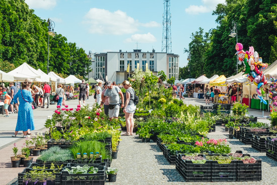 Jarmark rękodzieła i kwiatów