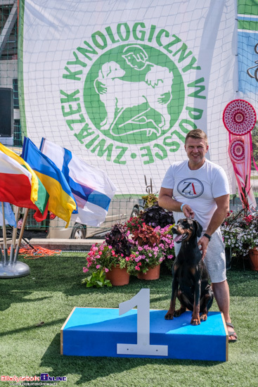 Międzynarodowa Wystawa Psów Rasowych