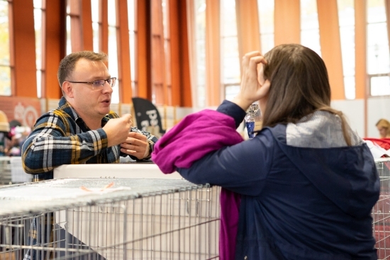 Wystawa Kotów Rasowych w Białymstoku