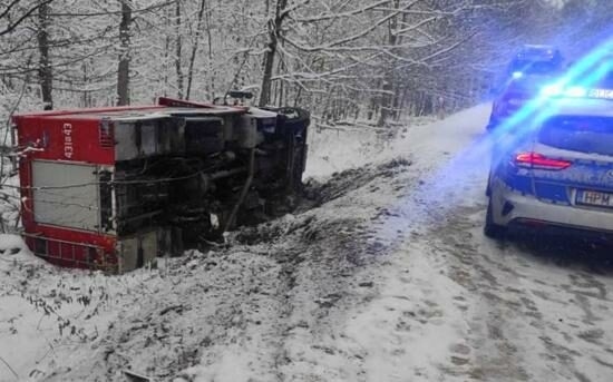 Czerlonka Leśna (18.11)