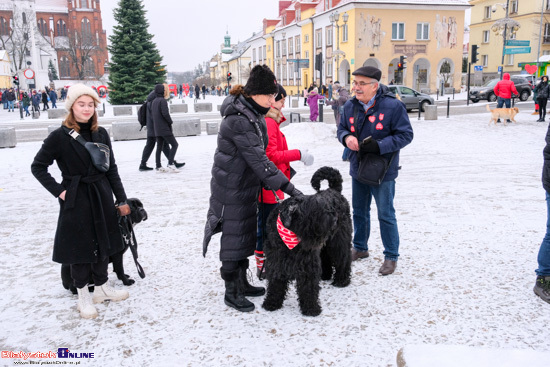 Wielka Orkiestra Świątecznej Pomocy