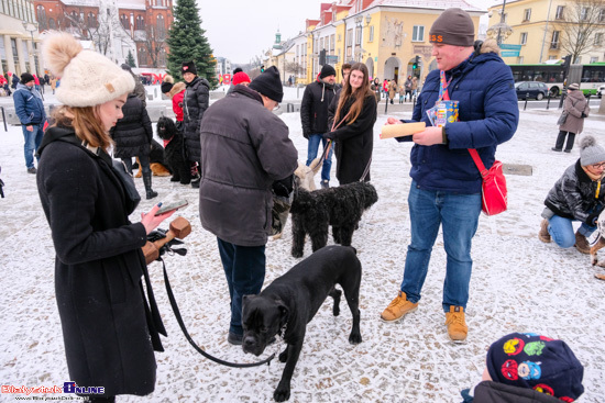 Wielka Orkiestra Świątecznej Pomocy