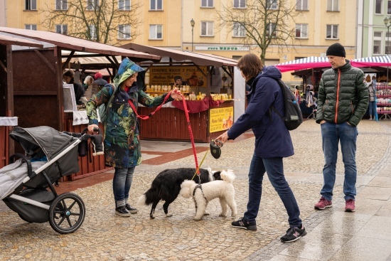 Jarmark Wielkanocny przy Ratuszu