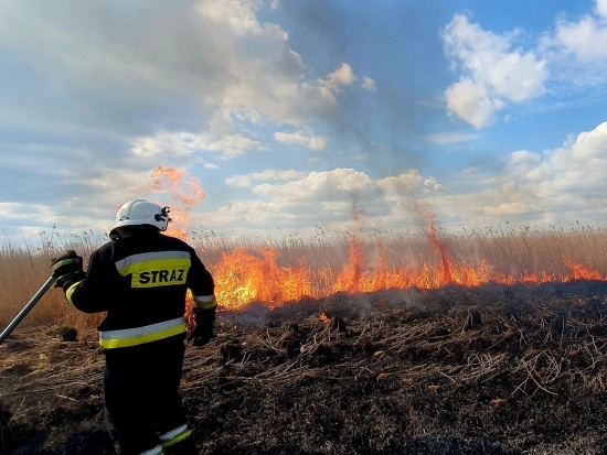 Pożar przy Jeziorze Zygmunta Augusta