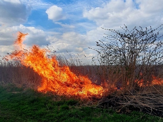 Pożar przy Jeziorze Zygmunta Augusta