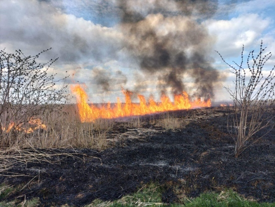 Pożar przy Jeziorze Zygmunta Augusta