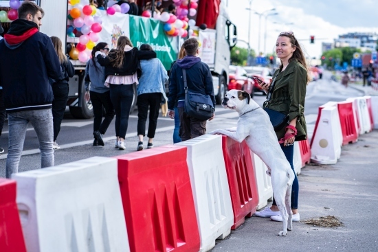 Parada studentów