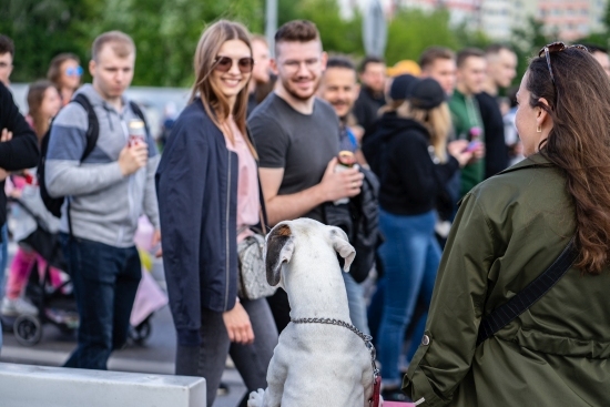 Parada studentów