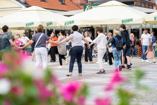 Festiwal Kultury Żydowskiej Zachor 