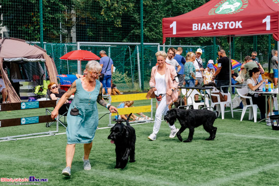 Wystawa Psów Rasowych w Białymstoku