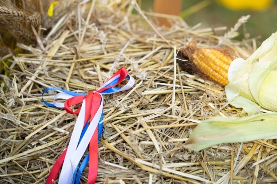 Podlaskie Śniadanie Mistrzów