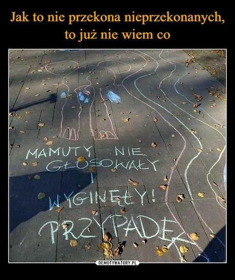 Przegląd wyborczych memów 