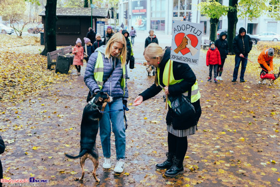 2023.10.29 - Parada Adopciaków