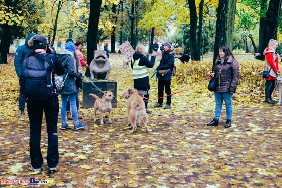 2023.10.29 - Parada Adopciaków